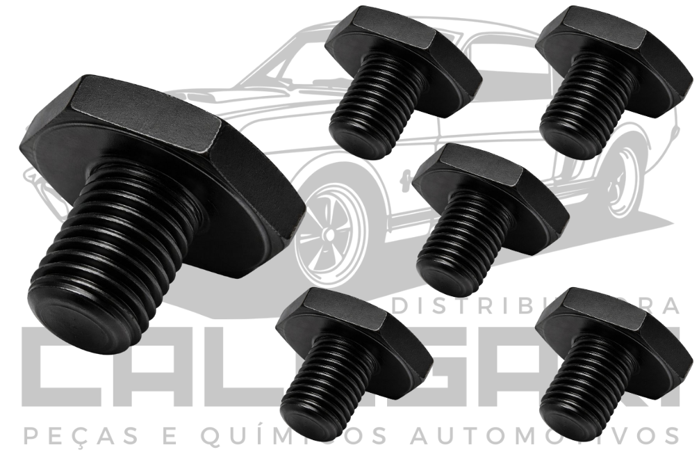 BUJAO CARTER LAND ROVER FREELANDER 06/14 EVOQUE 11/19 MINI COOPER 05/13 M10 X 1,25 - CHAVE SEXTAVADA 13MM (LA-2944)