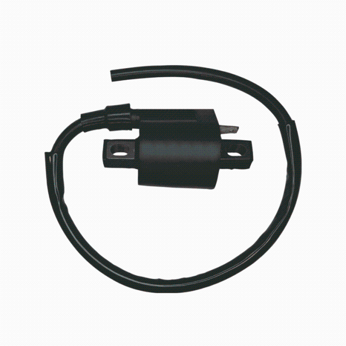 BOBINA DE IGNICAO CRF 230F 07-21