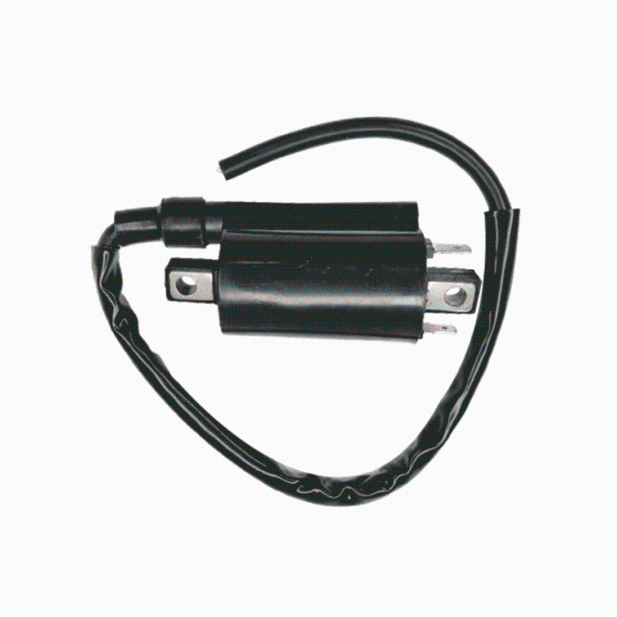 BOBINA DE IGNICAO SUZUKI EN 125 YES 05-09/INTRUDER 125 08-13