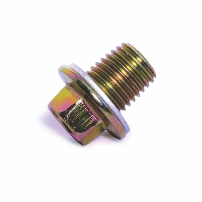 BUJAO OLEO CARTER M12 C/ARRUELA (12MM) RECUPERADOR DE ROSCA YBR/TITAN 150/FAN 125/150/FACTOR/LANDER