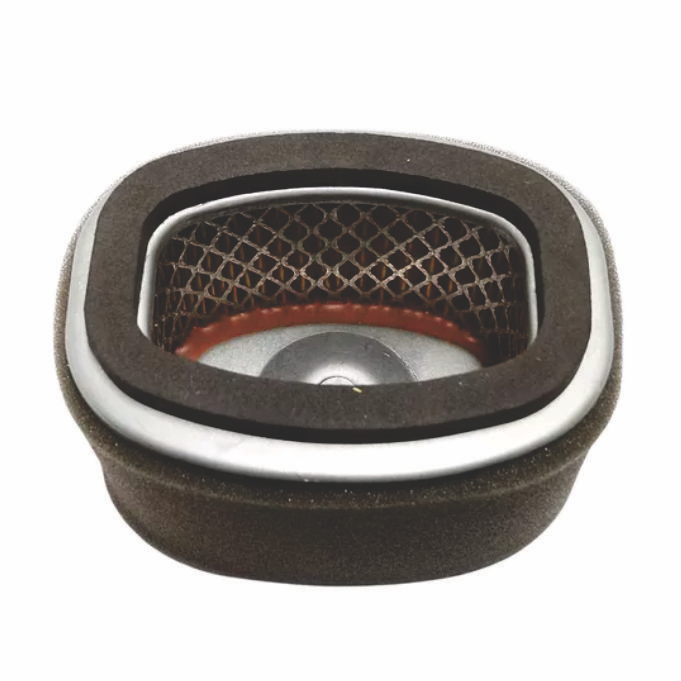 FILTRO DE AR SUZUKI BURGMAN 125 2012 /... 2051434