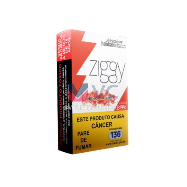ESSENCIA ZIGGY LARANJA TROPICAL 50G