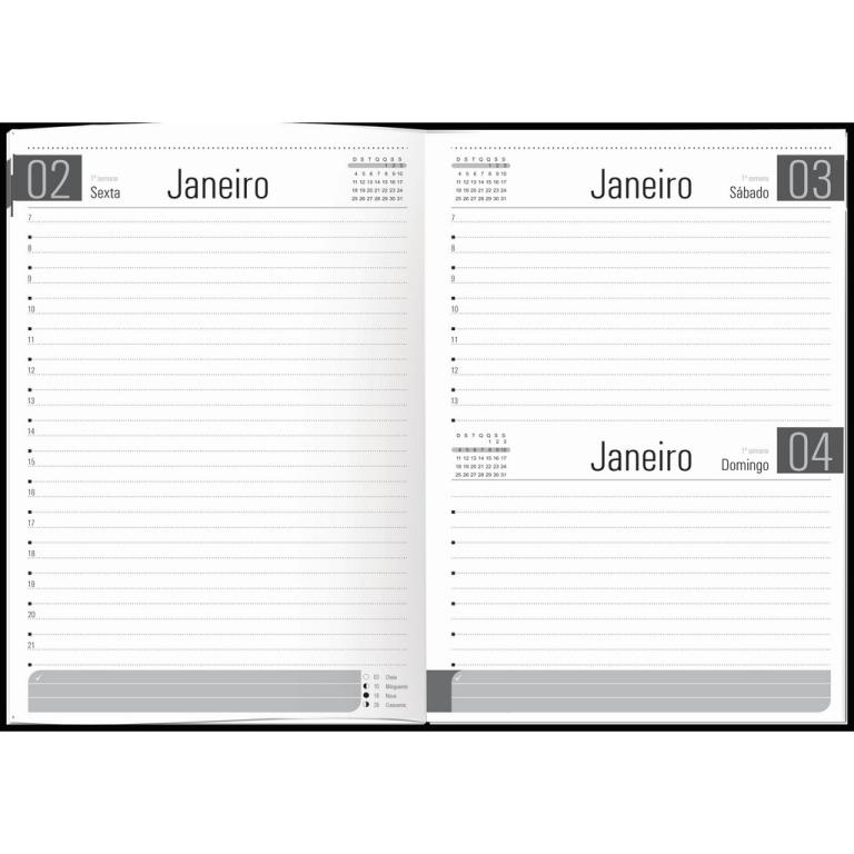 AGENDA EXECUTIVA CAPA DURA GDE 168FLS - 145x210mm