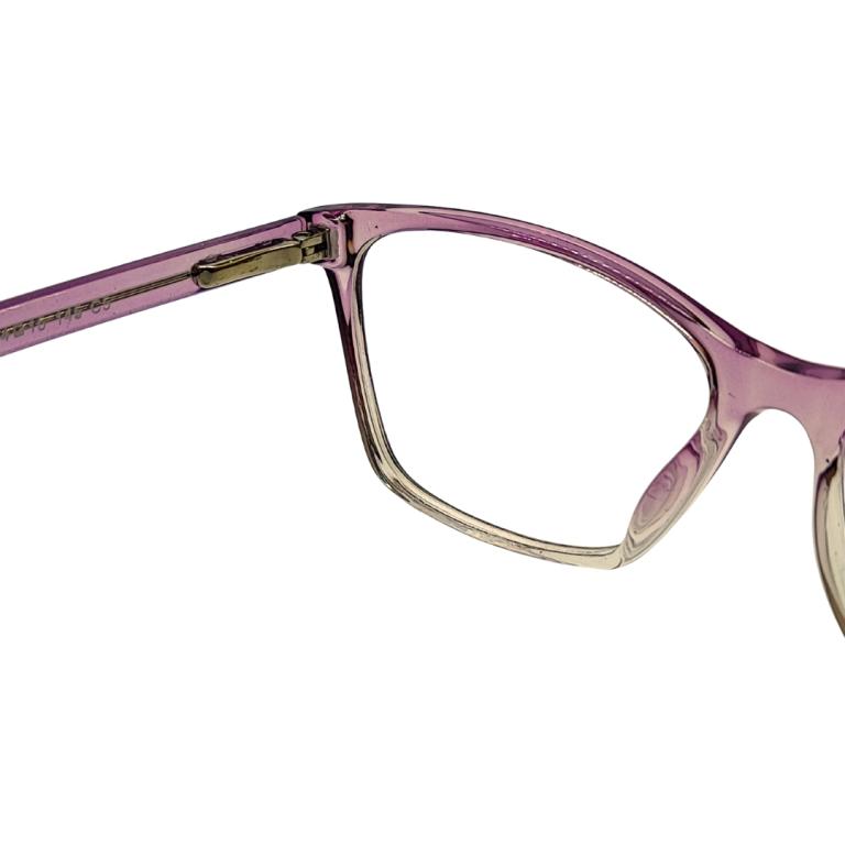 ARMAÇÃO TR90 FEM 31018-C5