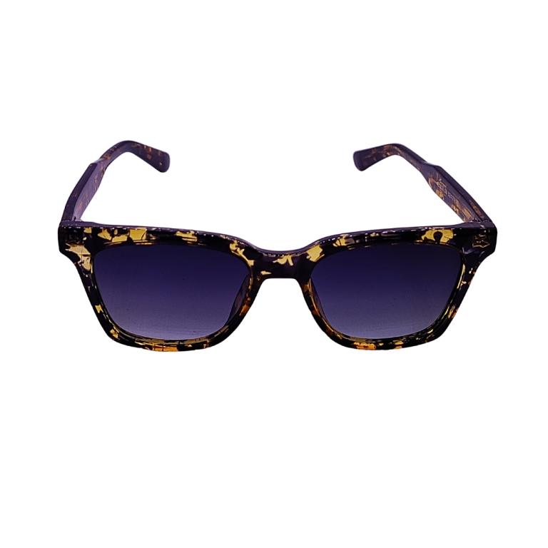 ARMAÇÃO SOLAR 82209-C2