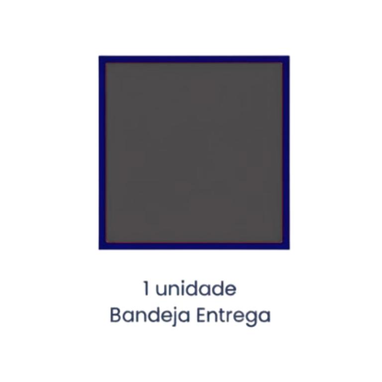 ARMAÇÃO BANDEJA-ENTREGA