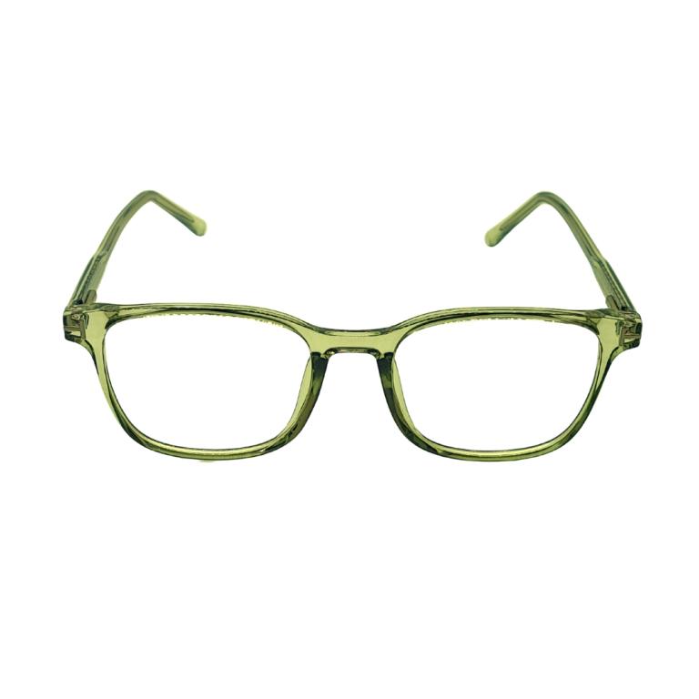 ARMAÇÃO TR90 31069-C4