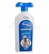 SHAMPOO GENIAL PELOS CLARO 500ML