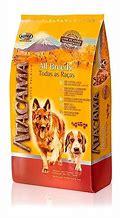 ATACAMA ADULTO FILHOTES TODAS RACAS 14KG