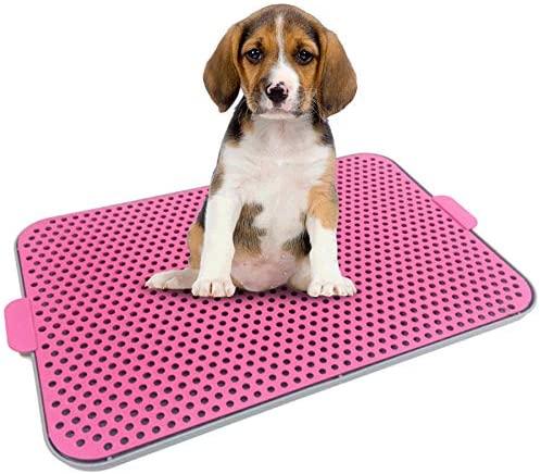 SANITARIO XIXI DOG MIX PET INJET