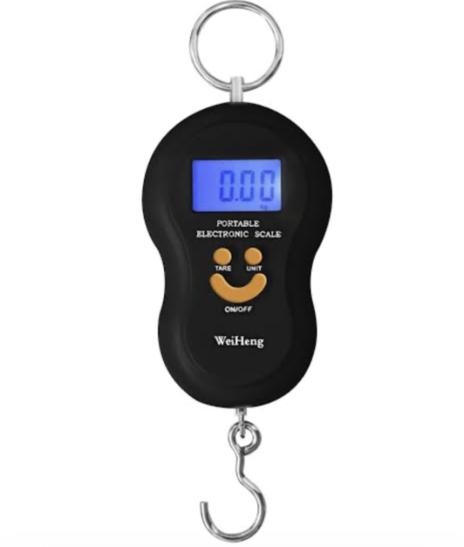 BALANCA DIGITAL 50KG PENDULO