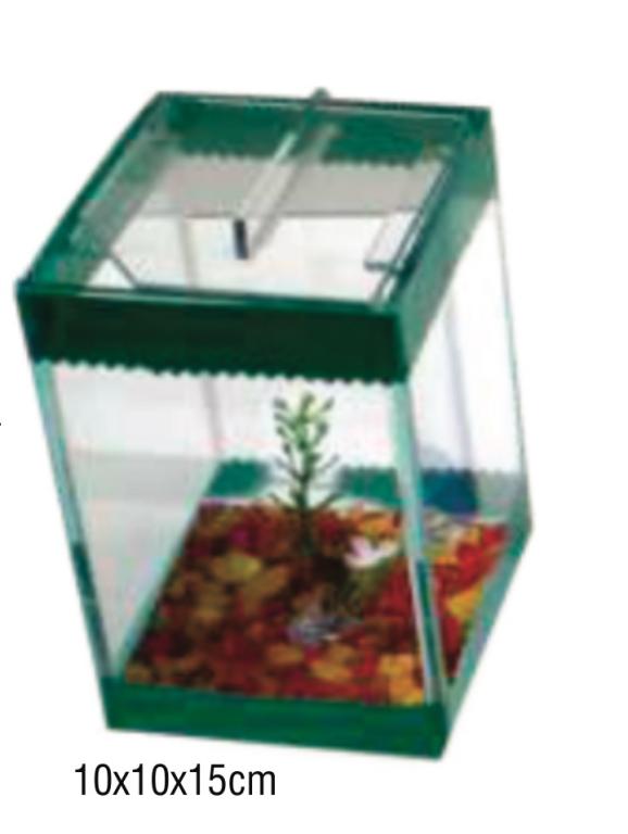 BETEIRA QUADRADA DECORADA 10X10X15CM