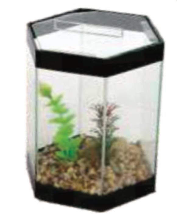 BETEIRA SEXTAV DECORADA GRANDE 17X14