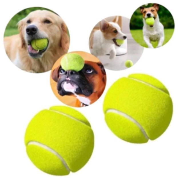 BOLA TENIS AMARELA 1UND