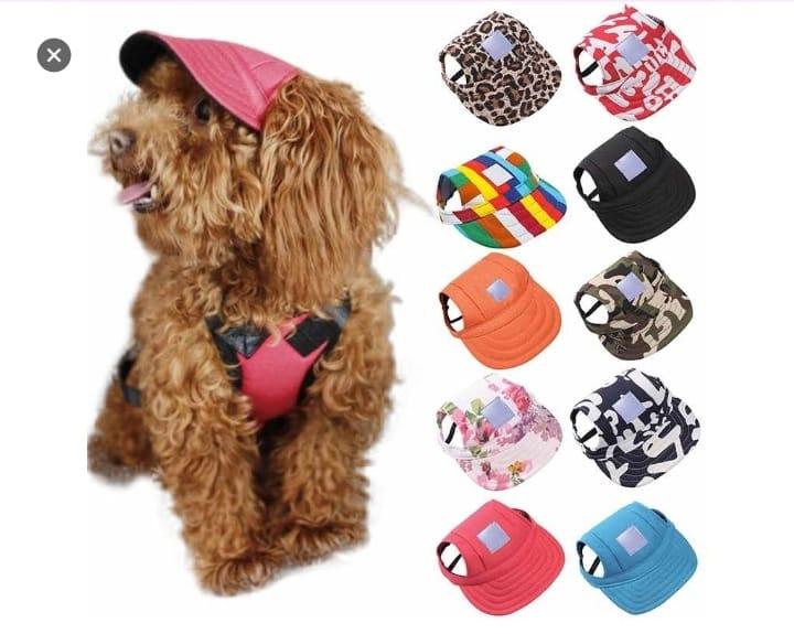 BONE VARIADO PEQUENO PET