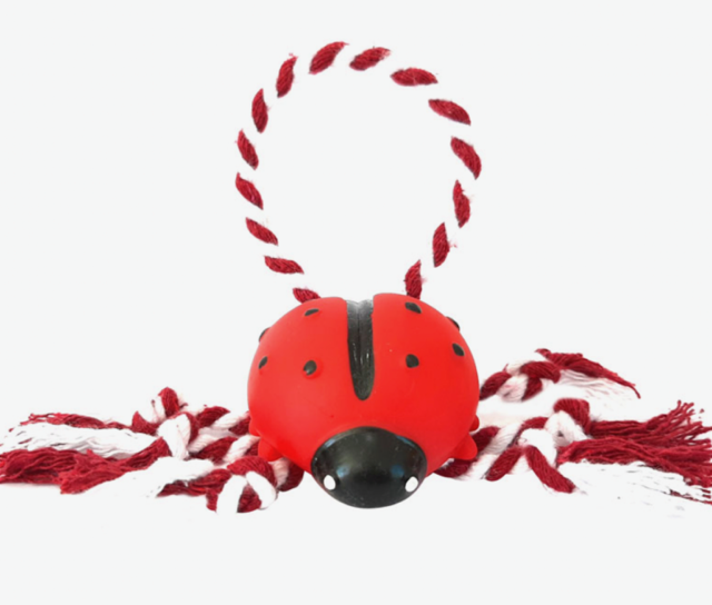 BRINQUEDO JOANINHA BABY COM CORDA