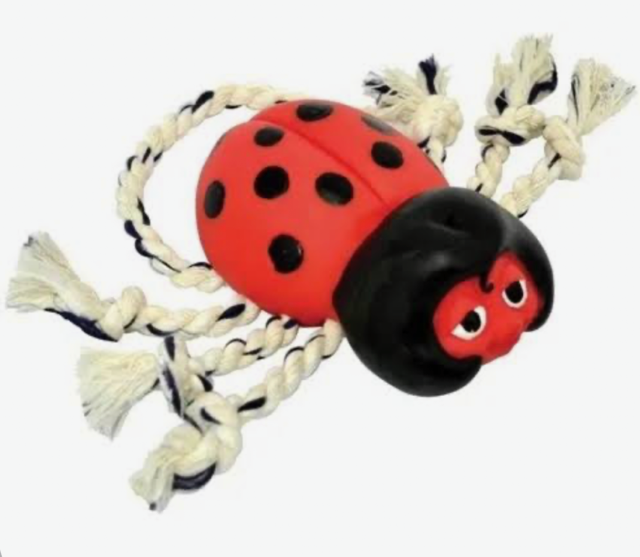 BRINQUEDO JOANINHA GRANDE COM CORDA