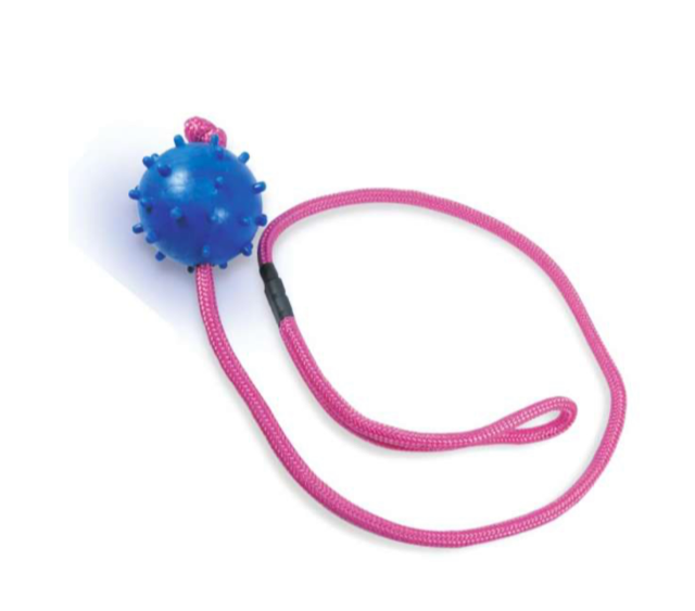 CABO GUERRA LONGO BOLA MAMONA AGILITY