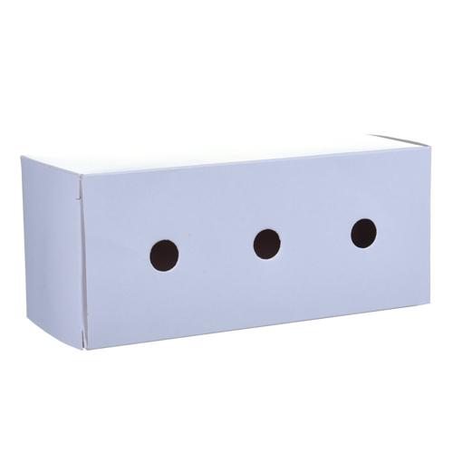 CAIXA TRANSPORTE PASSAROS