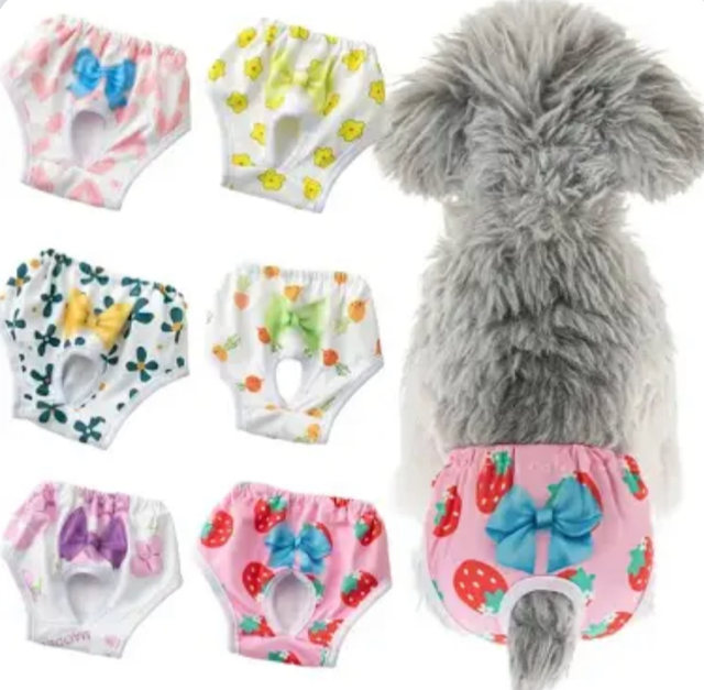 CALCINHA M PET CLUB C40XL20CM