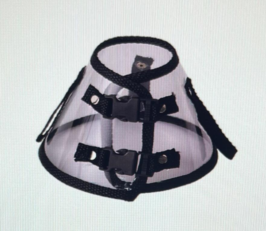 COLAR ELIZABETANO PEQUENO PORTE PEQUENO GATO