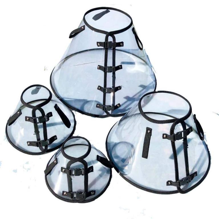 COLAR ELIZABETANO PREMIUM N 10