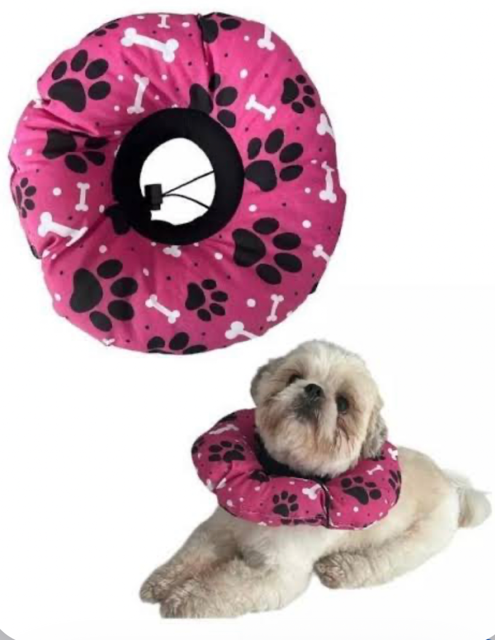 COLAR ELIZABETANO TOP PET N 1 6X12 DIAMETRO