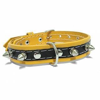 COLEIRA COURO BUFALO PINO N8