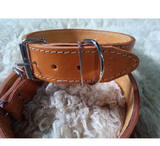 COLEIRA SOLA SEM CRAVO N 6