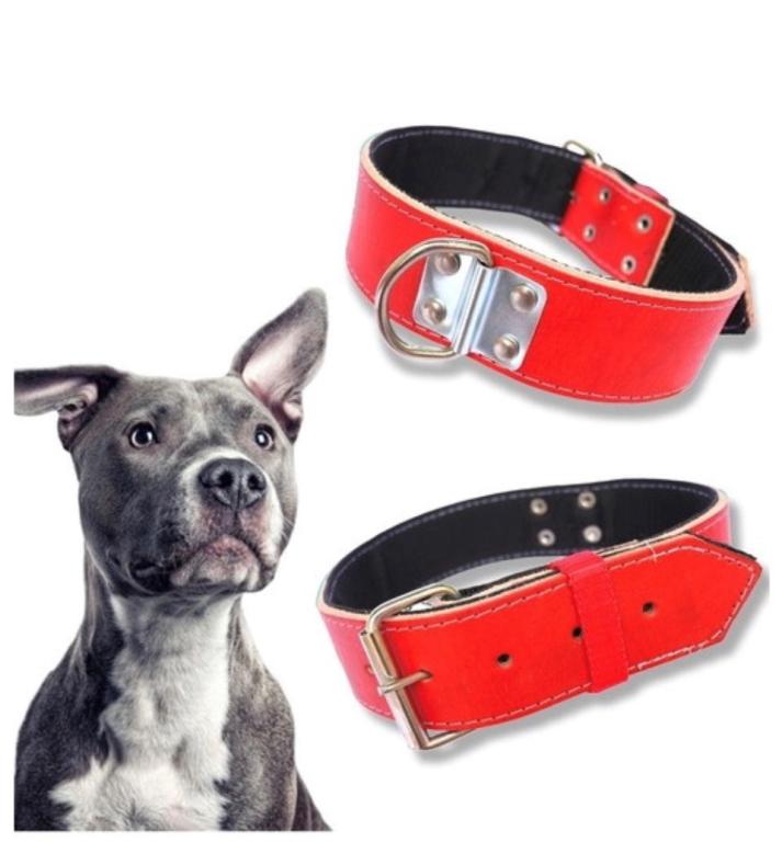 COLEIRA SOLA SEM CRAVO N 8