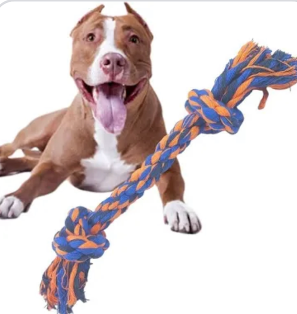 DENTAL BONE CORDA NO GIGANTE