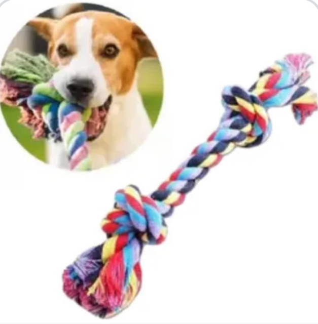 DENTAL BONE CORDA NO MEDIO