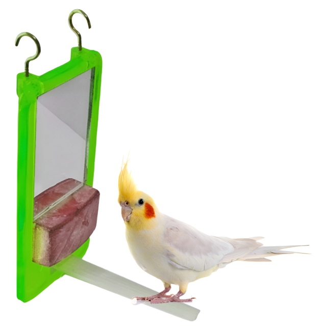 ESPELHO CALOPSITA BICA BICA