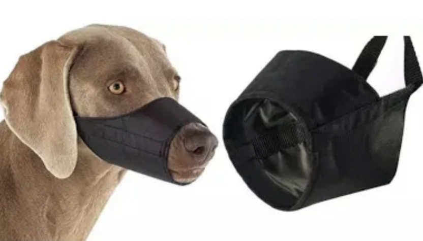 FOCINHEIRA NYLON PRETA N 6