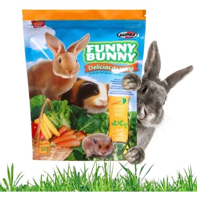 FUNNY BUNNY DELICIAS DA HORTA 500GR 1UND