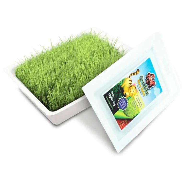 GRAMINHA PARA GATO 50GR 1UND