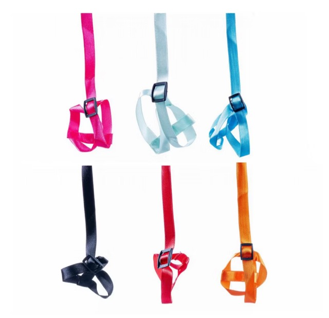 GUIA PEITORAL CALOPSITA AZUL