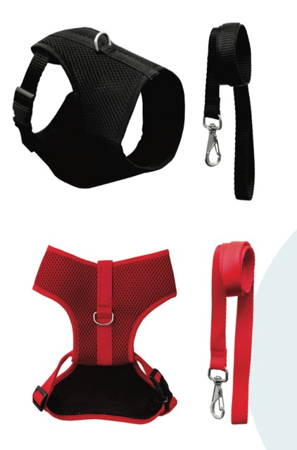 GUIA PEITORAL COLETE GRANDE