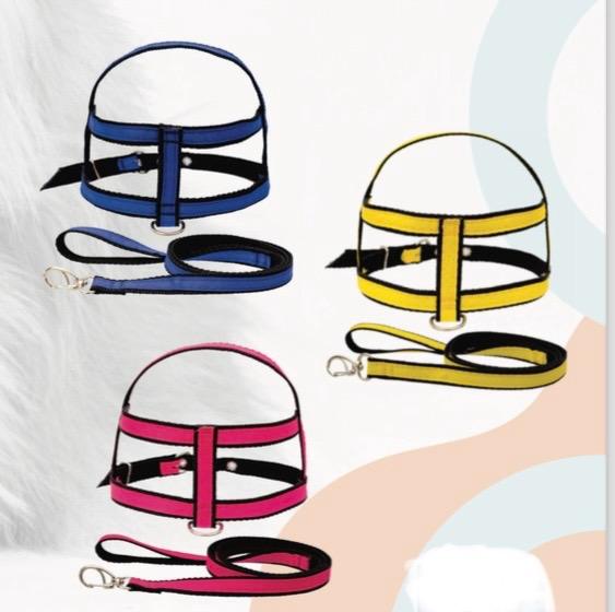 GUIA PEITORAL COLORS N0