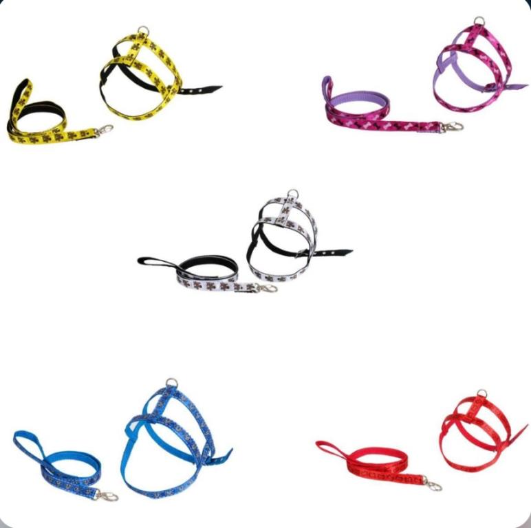 GUIA PEITORAL DECORADA N0