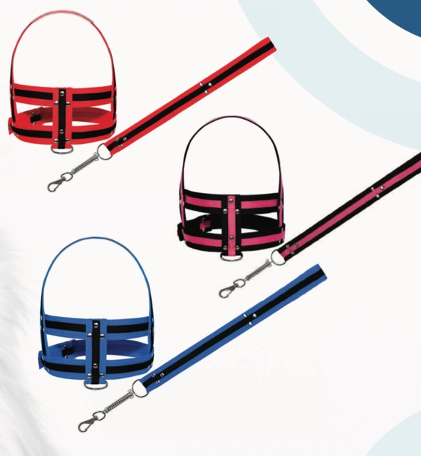 GUIA PEITORAL DUPLO REBITE COM MOLA N6