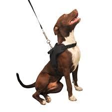 GUIA PEITORAL ELITE GRANDE INTER PES N9