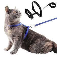 GUIA PEITORAL GATO AJUSTAVEL GRANDE MACHO