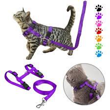 GUIA PEITORAL GATO AJUSTAVEL PEQUENO FEMEA