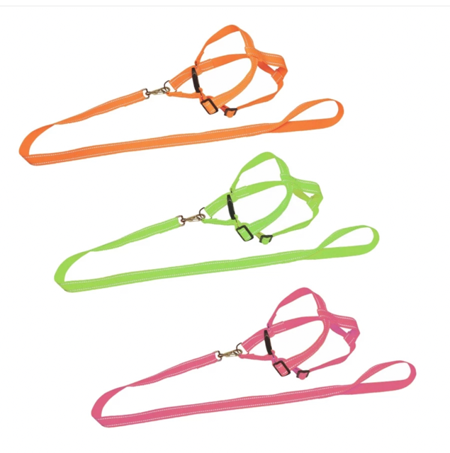 GUIA PEITORAL NEON LUXO N3