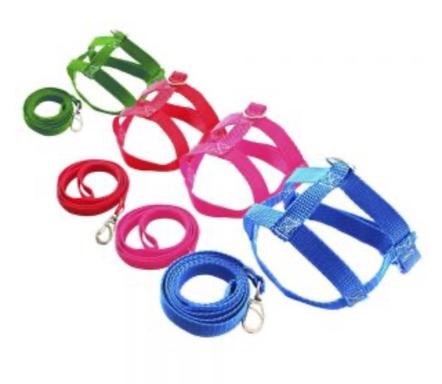 GUIA PEITORAL NYLON N0 SIMPLES