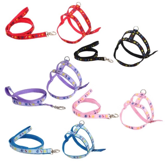 GUIA PEITORAL OSSO PATINHA N2