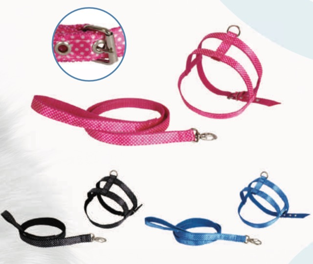 GUIA PEITORAL PAETE N2