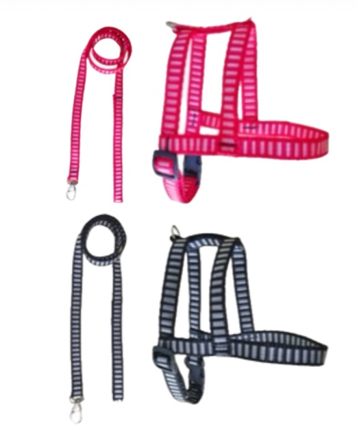 GUIA PEITORAL PERUANO N 1