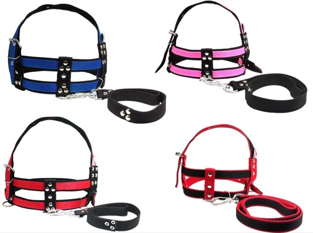 GUIA PEITORAL PORTE GRANDE MEDIO